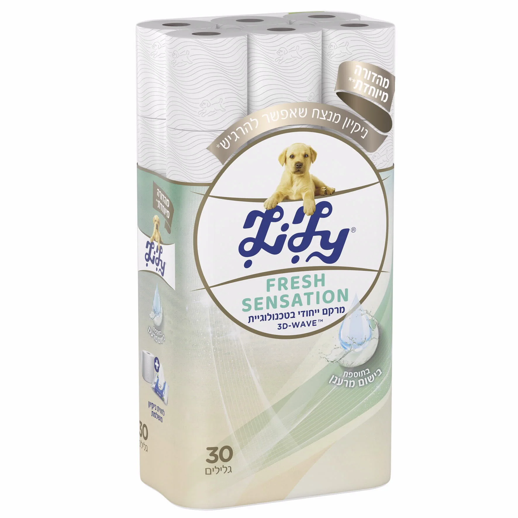 תמונת מוצר 1