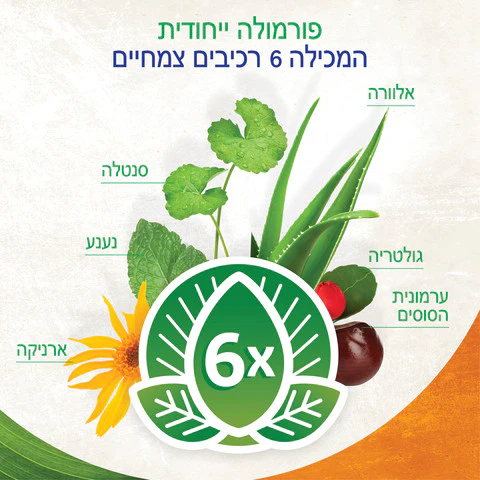 תמונת מוצר 2