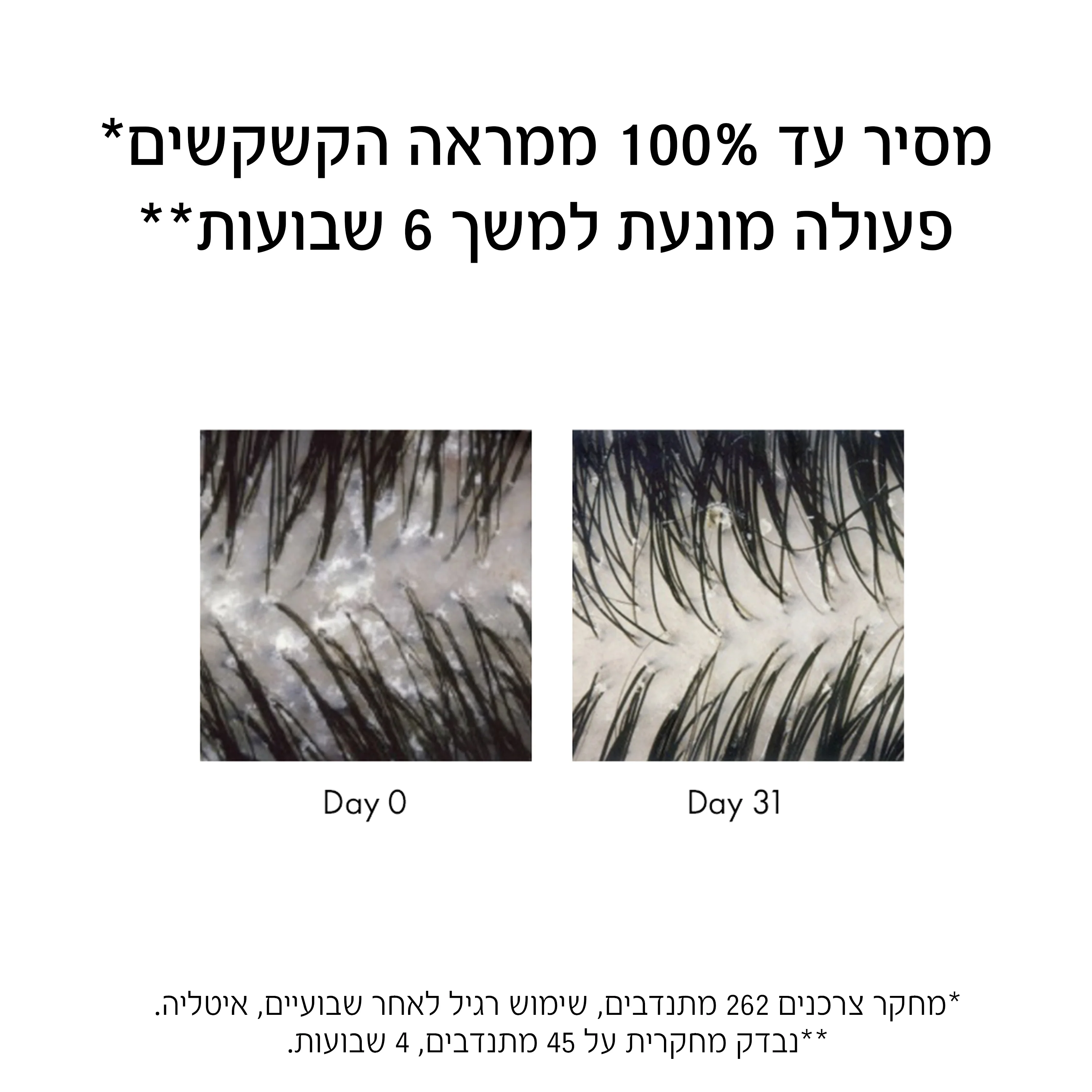 תמונת מוצר 4