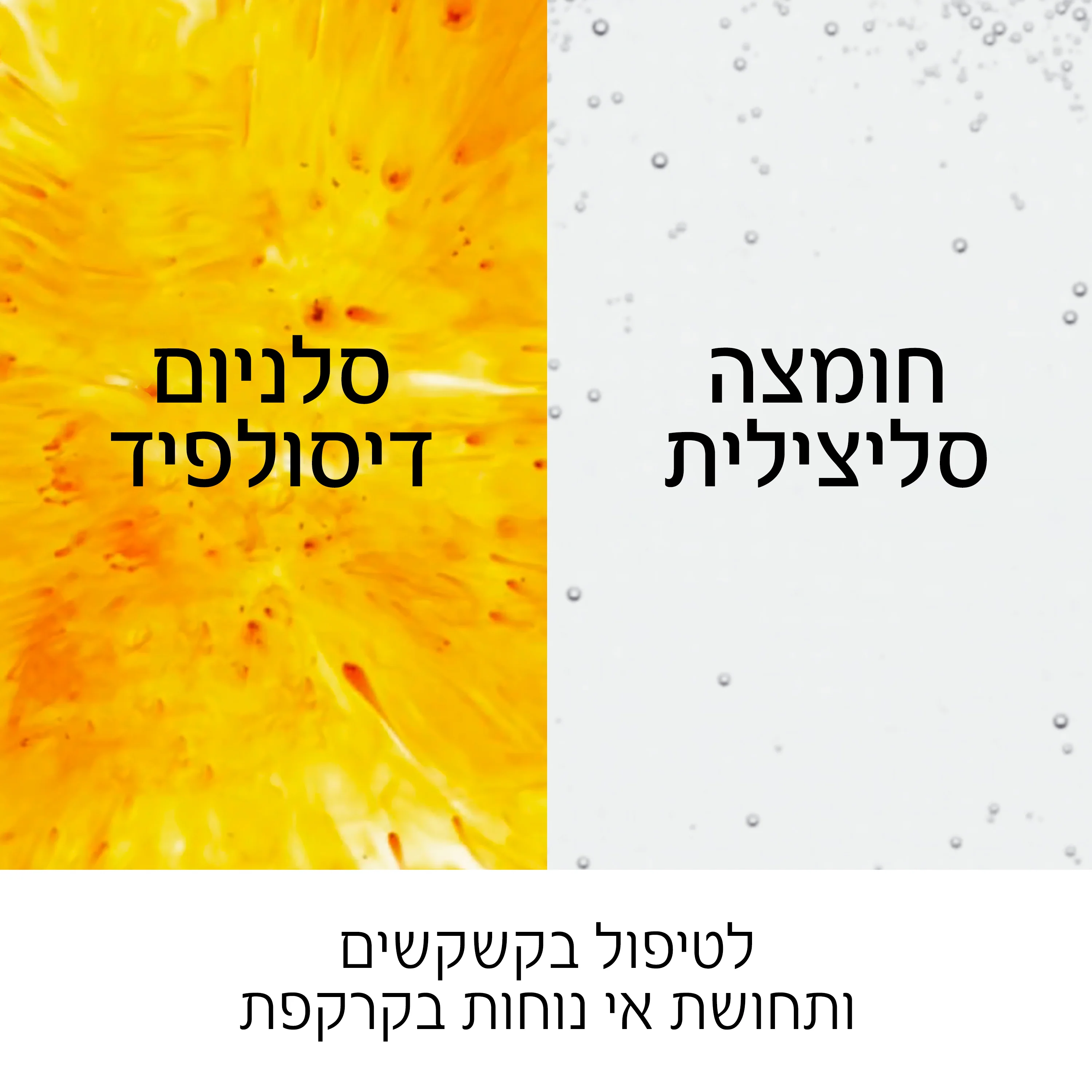 תמונת מוצר 6