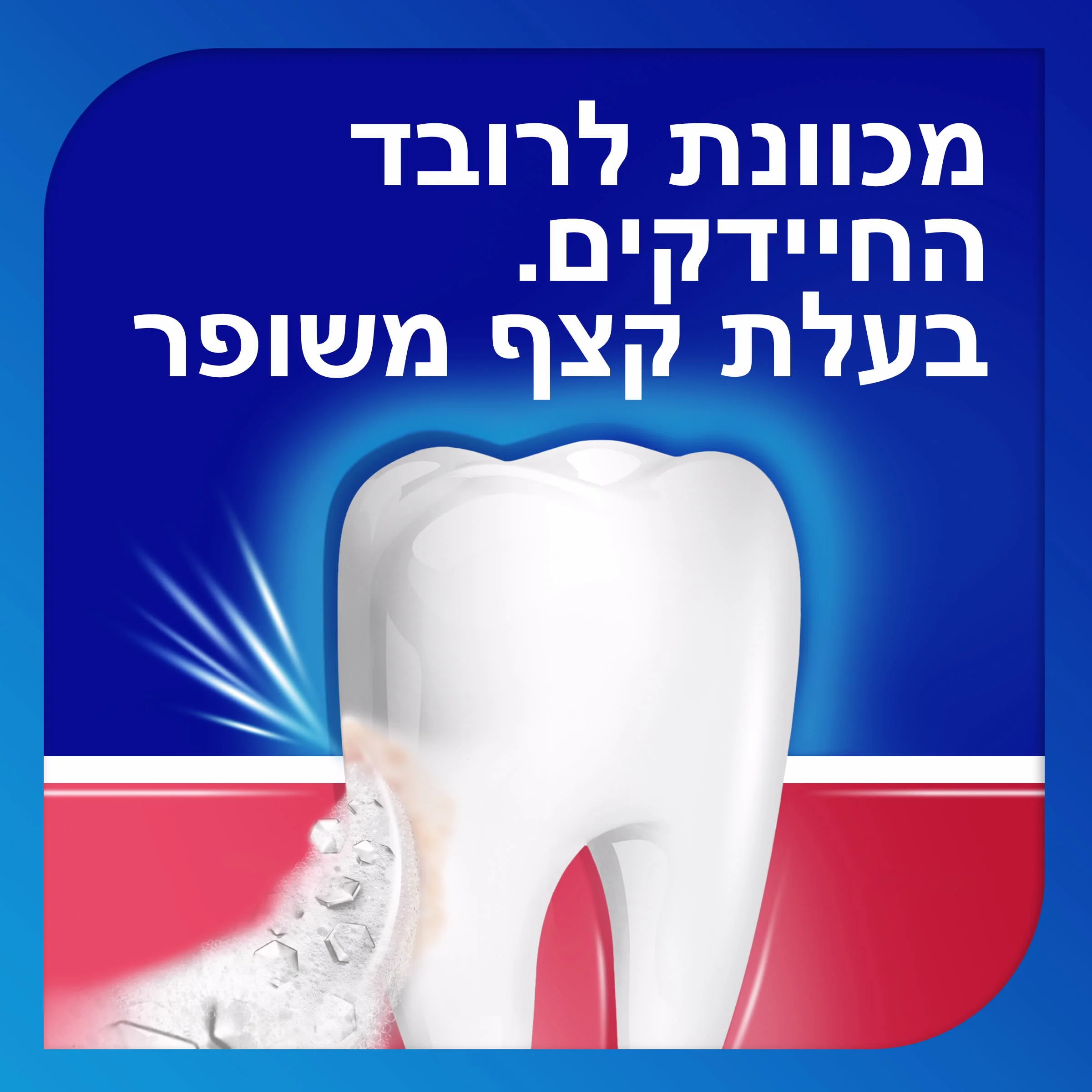 תמונת מוצר 3