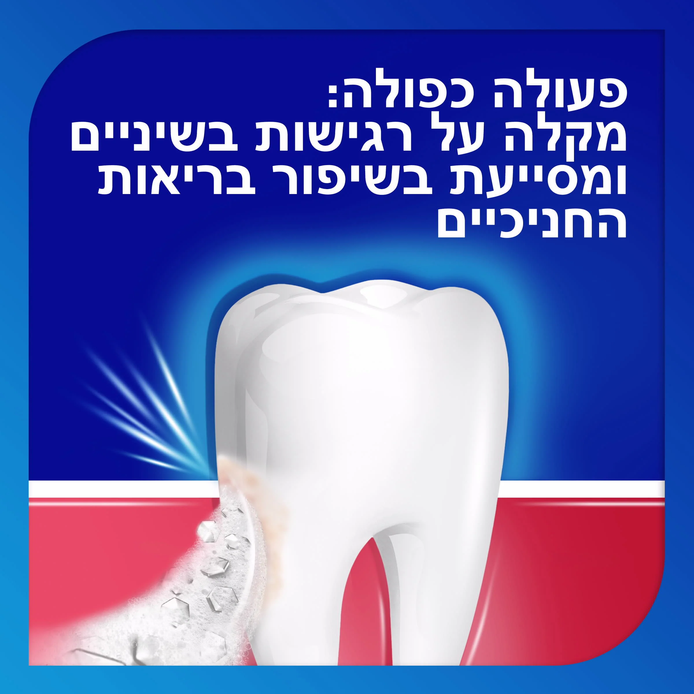 תמונת מוצר 4