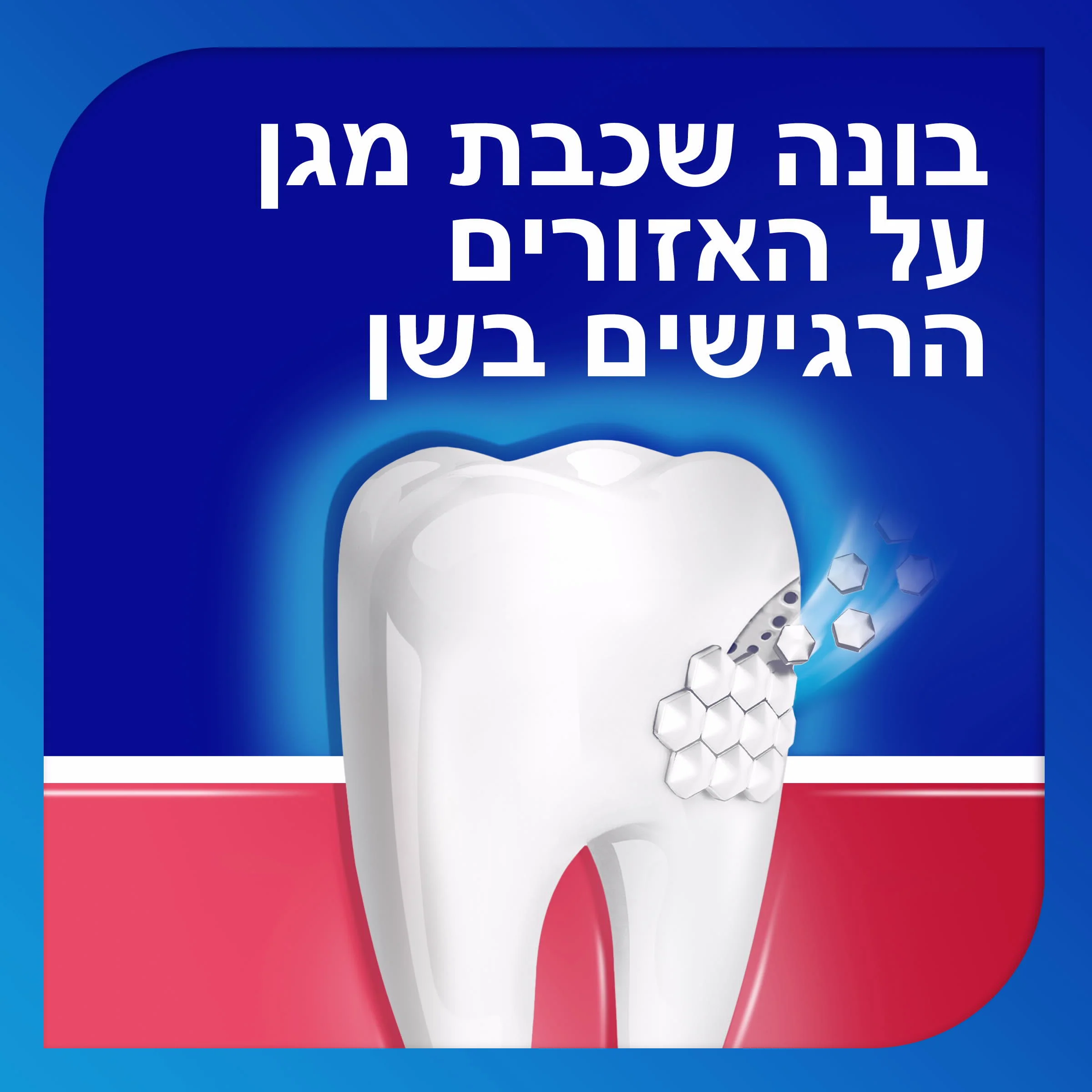 תמונת מוצר 5