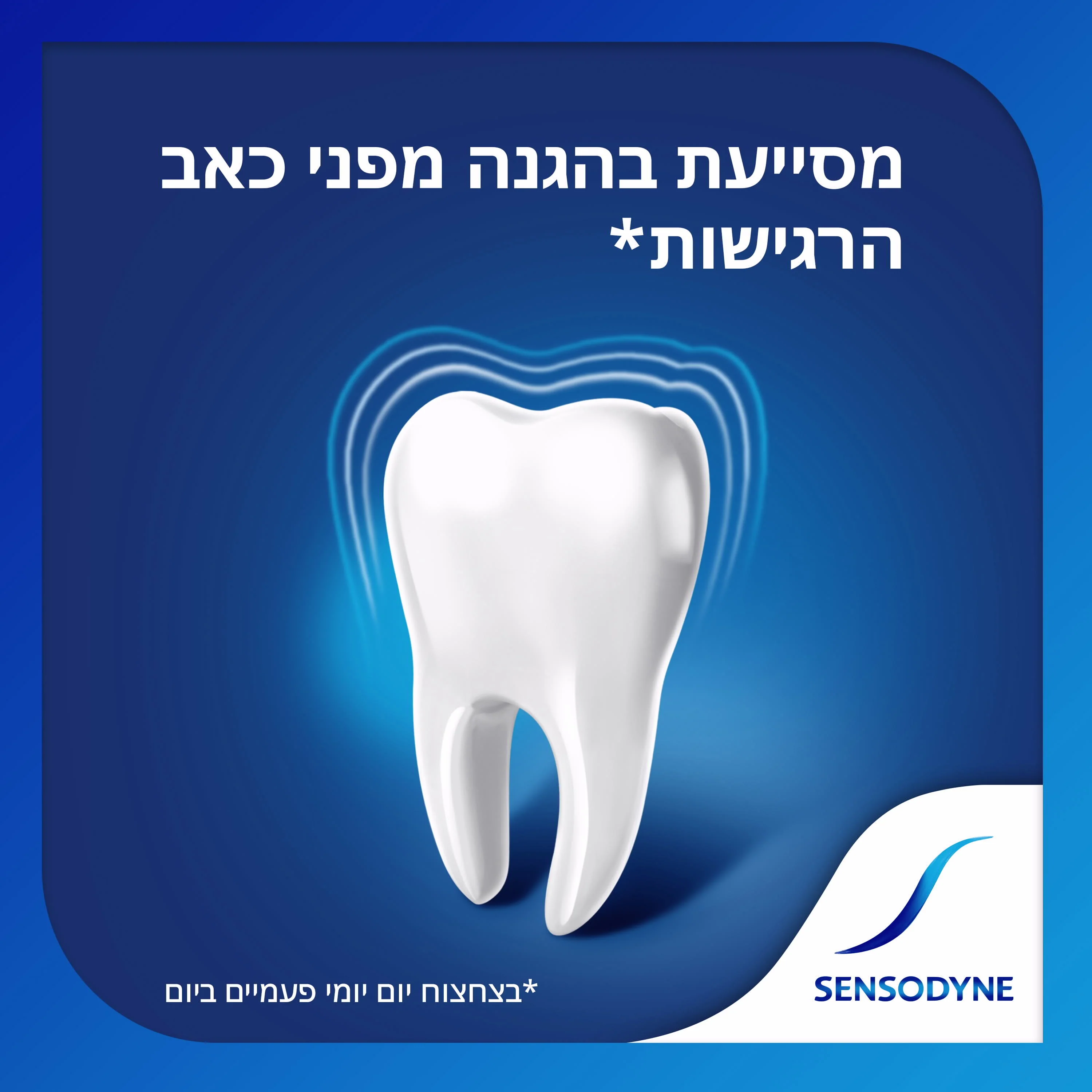 תמונת מוצר 3