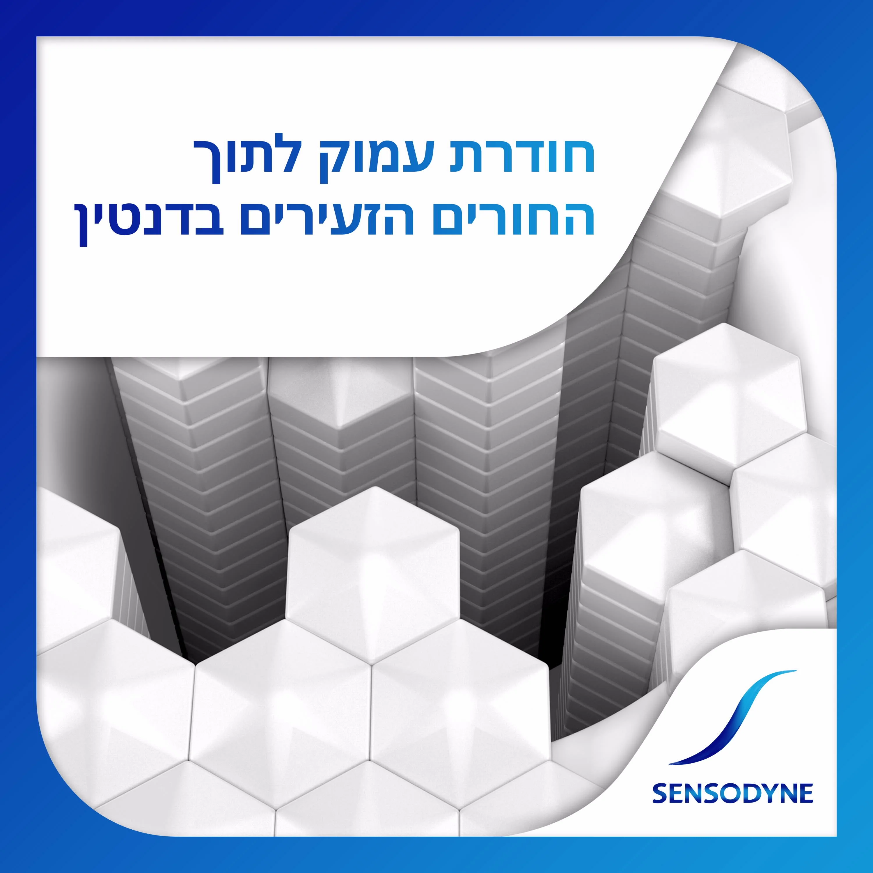 תמונת מוצר 4