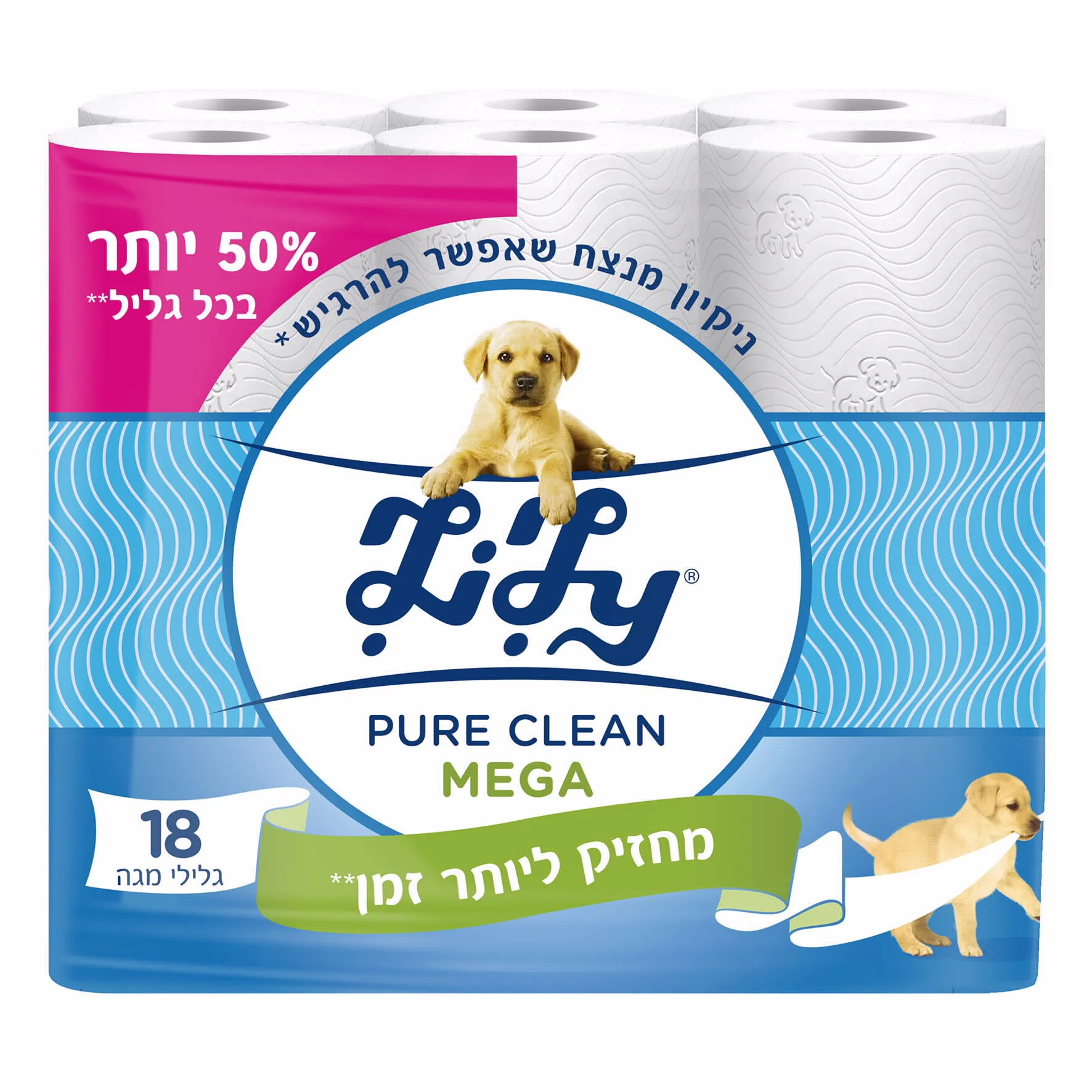 תמונת מוצר 1