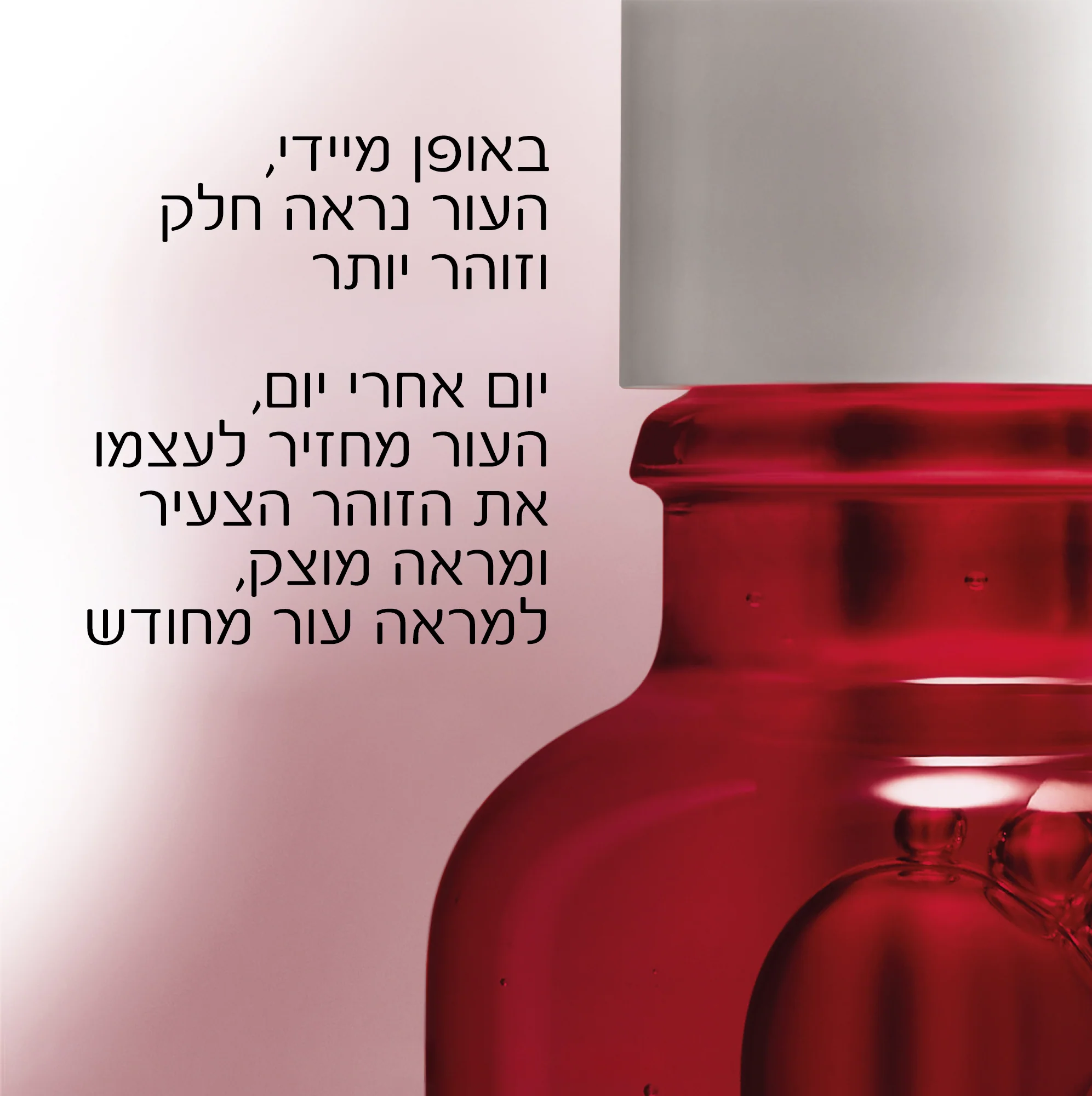 תמונת מוצר 4