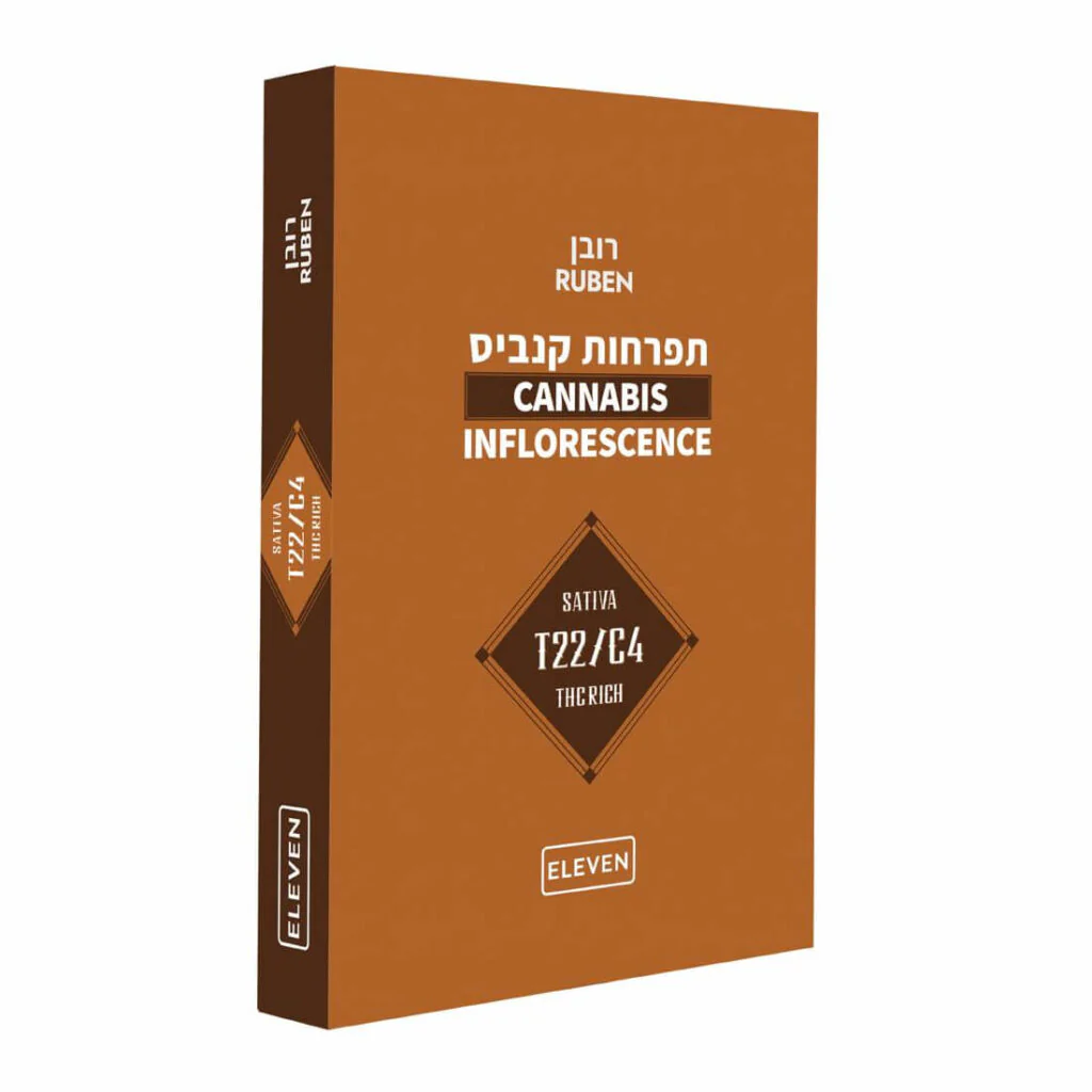 תמונת מוצר 1