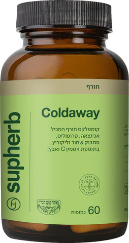 תמונת מוצר 3