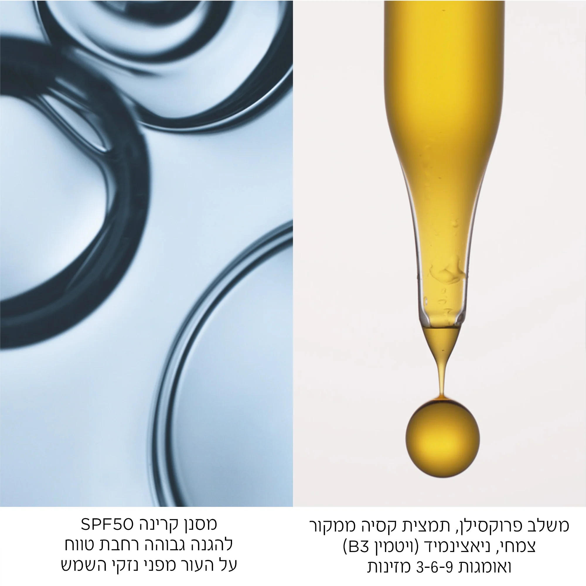 תמונת מוצר 3