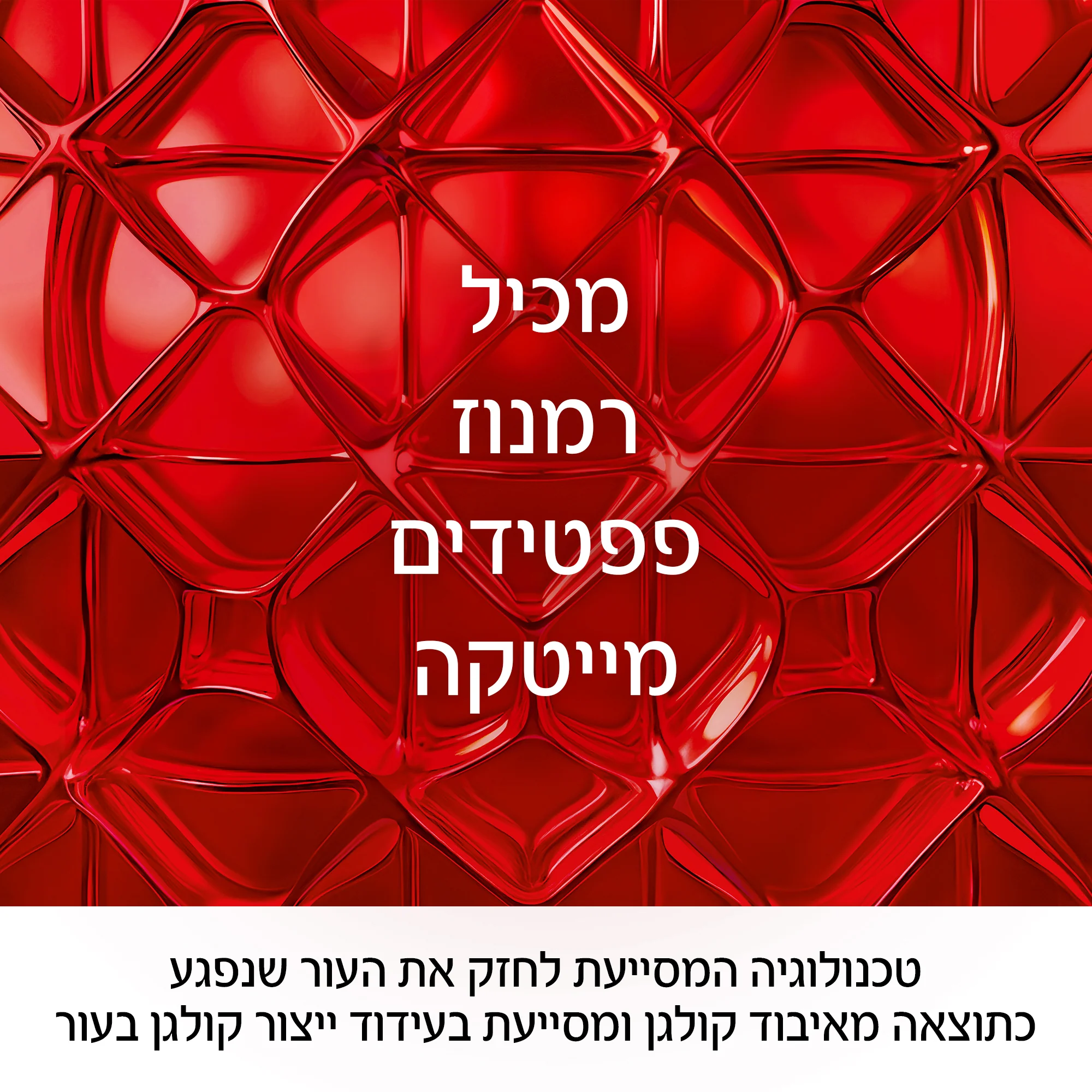 תמונת מוצר 5